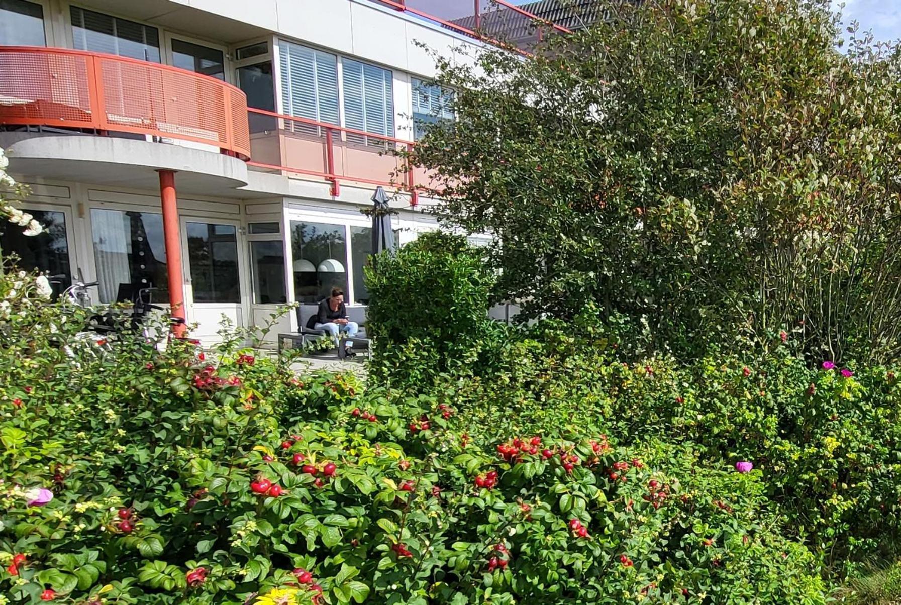 Duinzicht, Amelander Paradijs, Zonnig 6 Persoons Appartement Met Groot Terras Op De Begane Grond, Vrij Uitzicht, Upgrade 2024 Buren  Luaran gambar